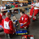 DSC03517_JPG-1342472984