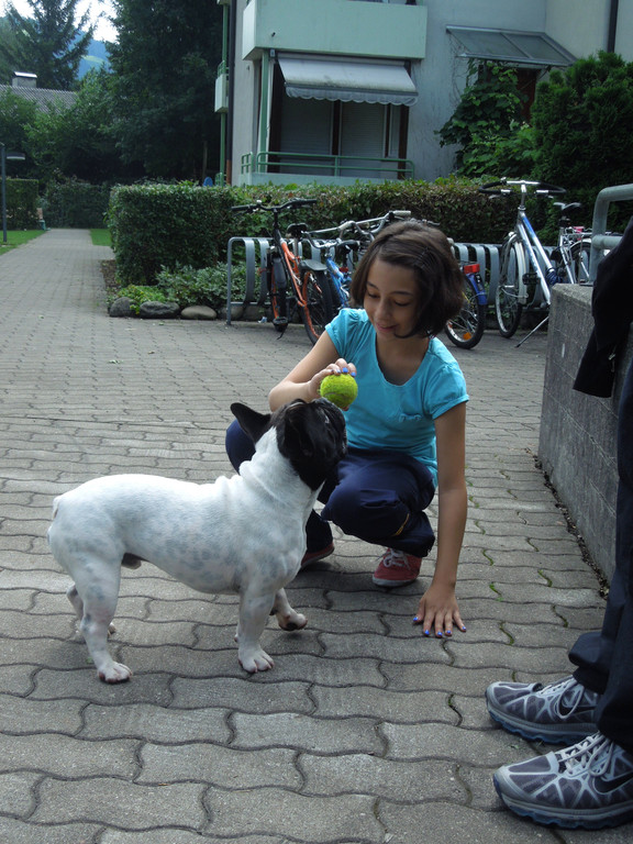 Hund 011.JPG