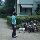 Hund 013.JPG