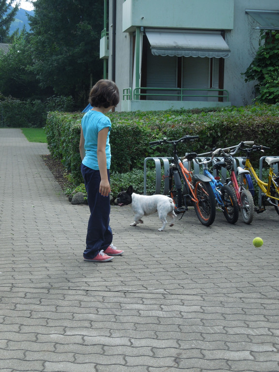 Hund 013.JPG