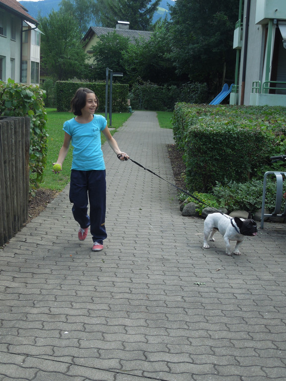 Hund 015.JPG