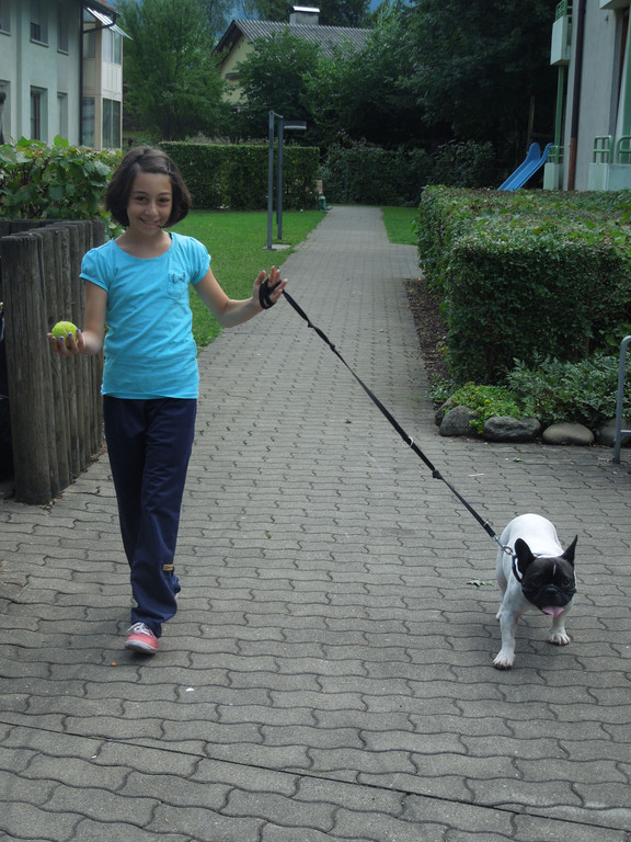 Hund 016.JPG