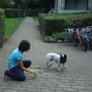 Hund 017.JPG