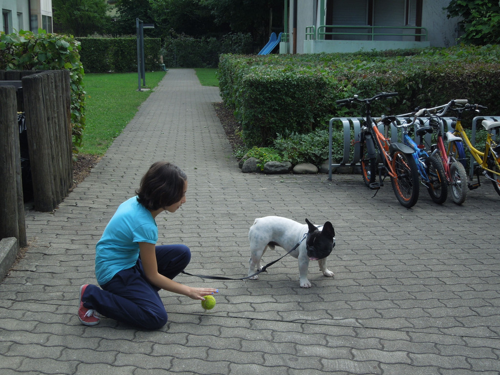 Hund 017.JPG