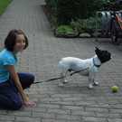Hund 018.JPG