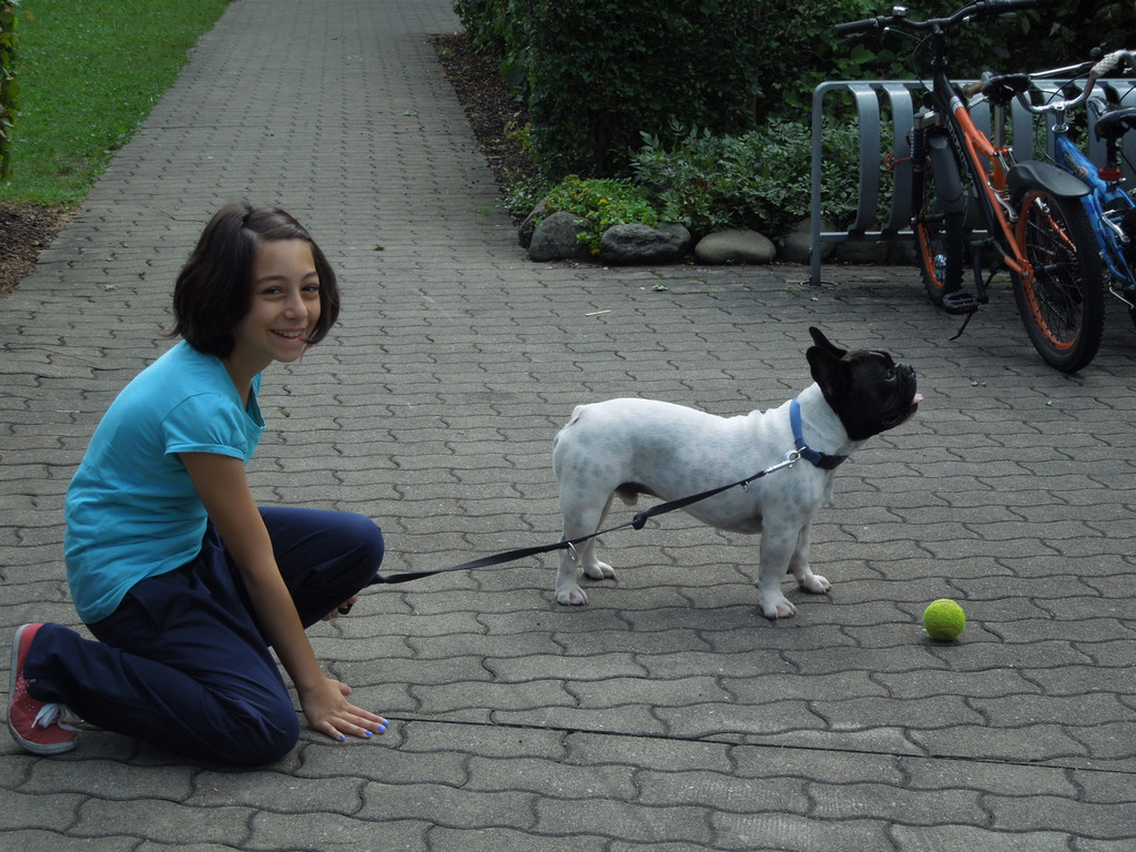 Hund 018.JPG