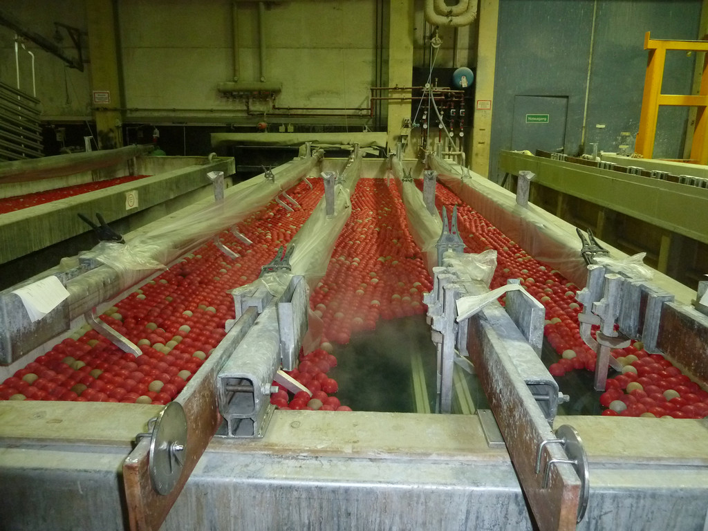 Collini16_jpg-1342520223