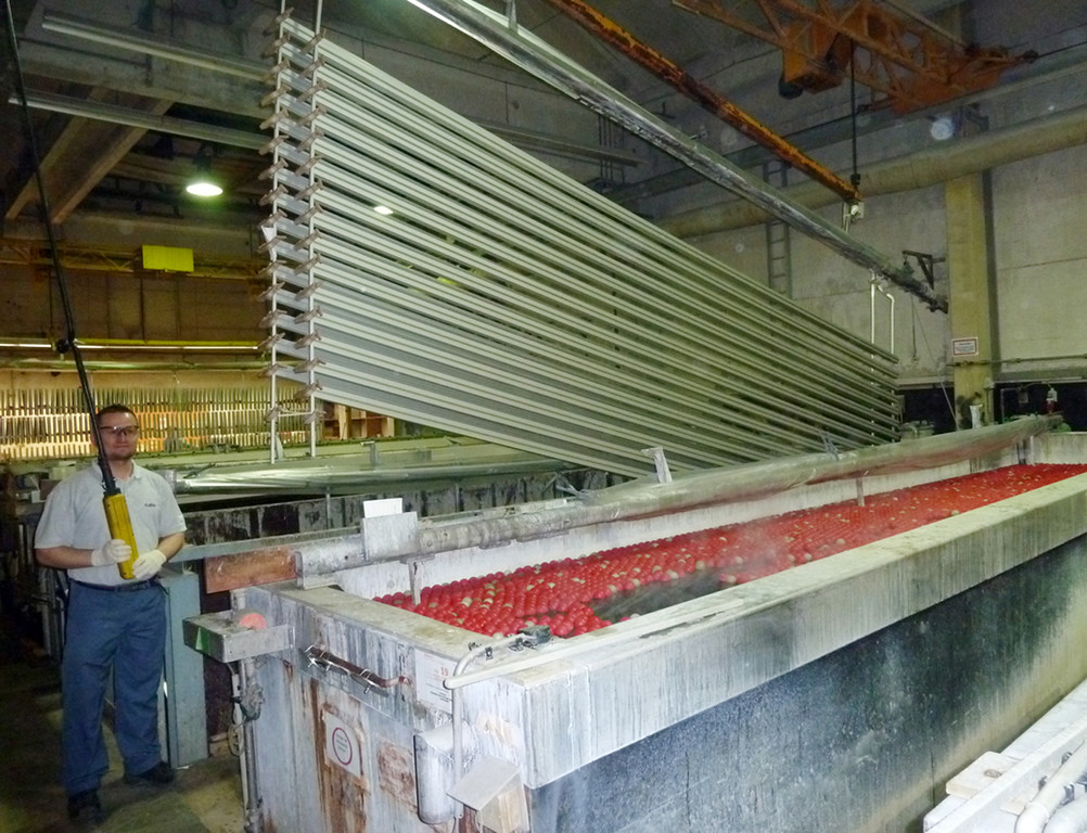 Collini17_jpg-1342520235