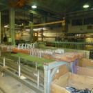 Collini21_jpg-1342520278