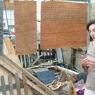 Scherling13Scherling_jpg-1342619772