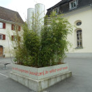 Scherling23a_jpg-1342619983