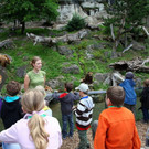 normal_18072012fmt_kindertierpflegerzoosalzburg_mw_05.JPG