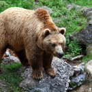 normal_18072012fmt_kindertierpflegerzoosalzburg_mw_06.JPG