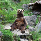 normal_18072012fmt_kindertierpflegerzoosalzburg_mw_07.JPG