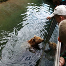 normal_18072012fmt_kindertierpflegerzoosalzburg_mw_08.JPG