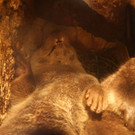 normal_18072012fmt_kindertierpflegerzoosalzburg_mw_11.JPG