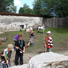 normal_18072012fmt_kindertierpflegerzoosalzburg_mw_17.JPG