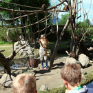normal_18072012fmt_kindertierpflegerzoosalzburg_mw_27.JPG
