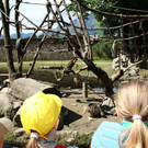 normal_18072012fmt_kindertierpflegerzoosalzburg_mw_29.JPG