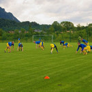 Testspiel Austria Salzburg - SC Golling