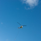 Horizon Field wird abtransportiert