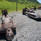 Abtransport Gormley by BEATE RHOMBERG-36.jpg