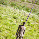 Abtransport Gormley by BEATE RHOMBERG-33.jpg