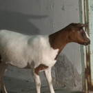 Sequenz 01_4_Kopie.jpg