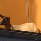 Sequenz 01_Kopie.jpg