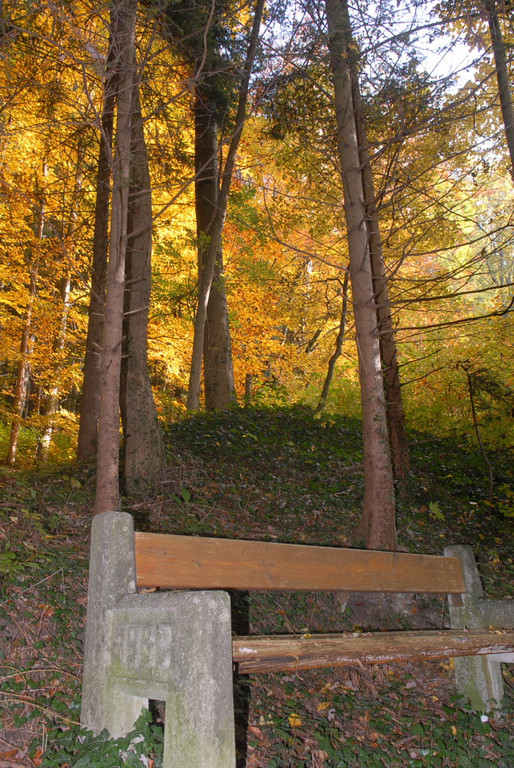 Holz03.jpg