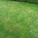 hagel13.JPG