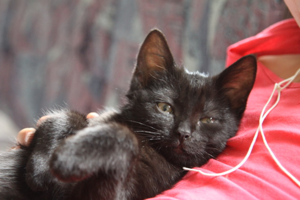 IMG_2624_JPG-1342721068