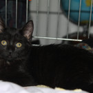 IMG_2631_JPG-1342721124