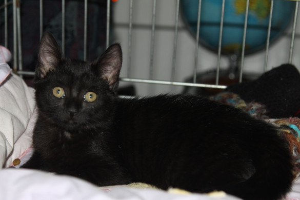 IMG_2631_JPG-1342721124