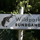 Rundgang im Wildpark