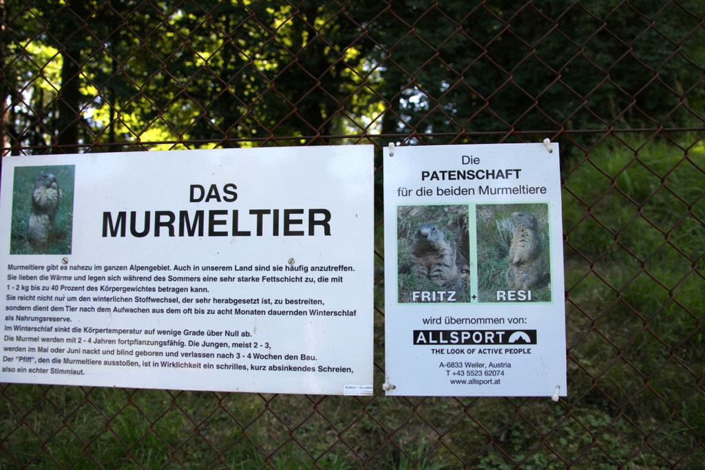 KOE_Wildpark Nachwuchs 5_jpg-1342723006