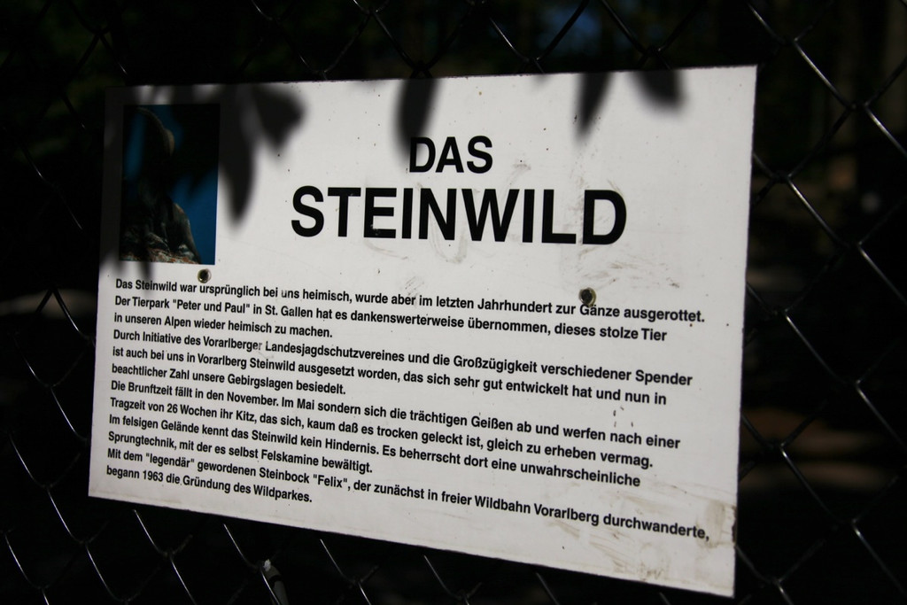 KOE_Wildpark Nachwuchs 13_jpg-1342723065