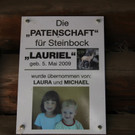 KOE_Wildpark Nachwuchs 18_jpg-1342723102