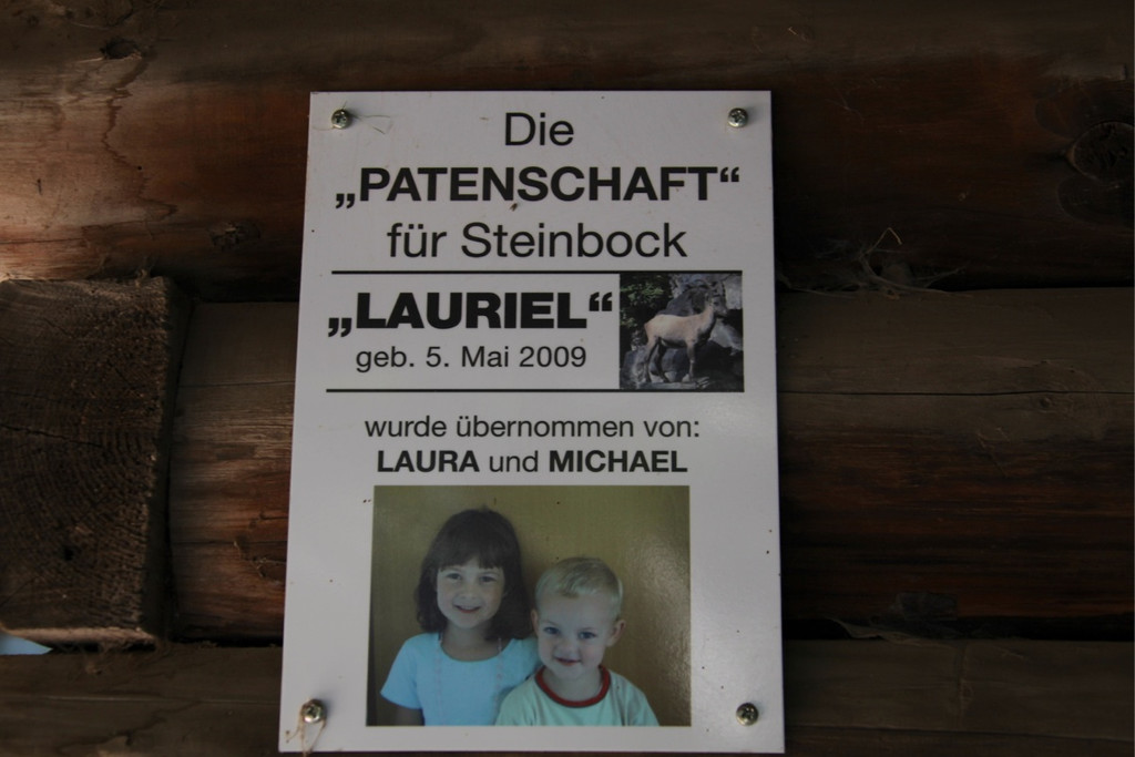 KOE_Wildpark Nachwuchs 18_jpg-1342723102