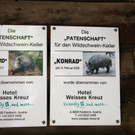 KOE_Wildpark Nachwuchs 23_jpg-1342723134