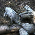 KOE_Wildpark Nachwuchs 28_jpg-1342723178