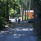 KOE_Wildpark Nachwuchs 29_jpg-1342723187