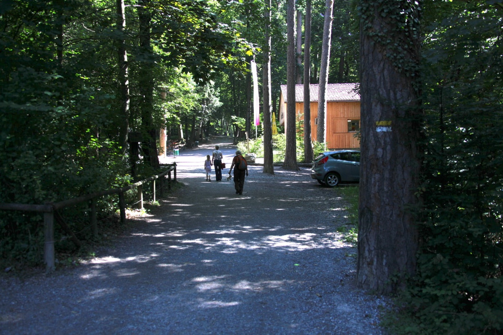 KOE_Wildpark Nachwuchs 29_jpg-1342723187