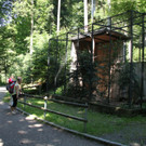 KOE_Wildpark Nachwuchs 32_jpg-1342723214