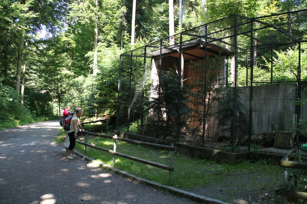 KOE_Wildpark Nachwuchs 32_jpg-1342723214