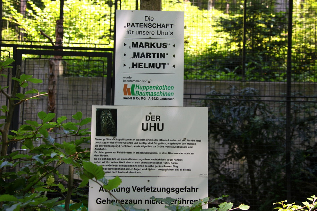 KOE_Wildpark Nachwuchs 34_jpg-1342723239