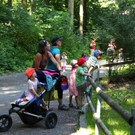 KOE_Wildpark Nachwuchs 36_jpg-1342723256