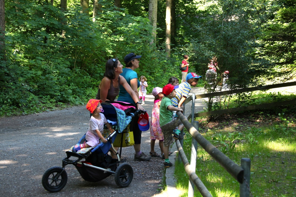 KOE_Wildpark Nachwuchs 36_jpg-1342723256