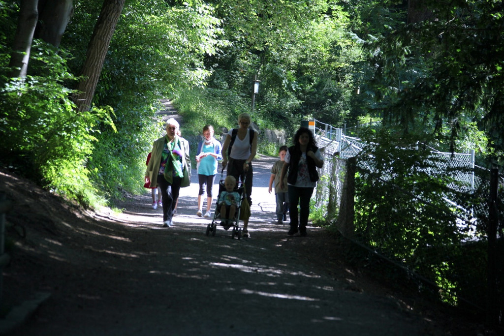 KOE_Wildpark Nachwuchs 37_jpg-1342723266