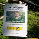 KOE_Wildpark Nachwuchs 41_jpg-1342723297